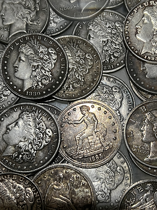 Coin Collection